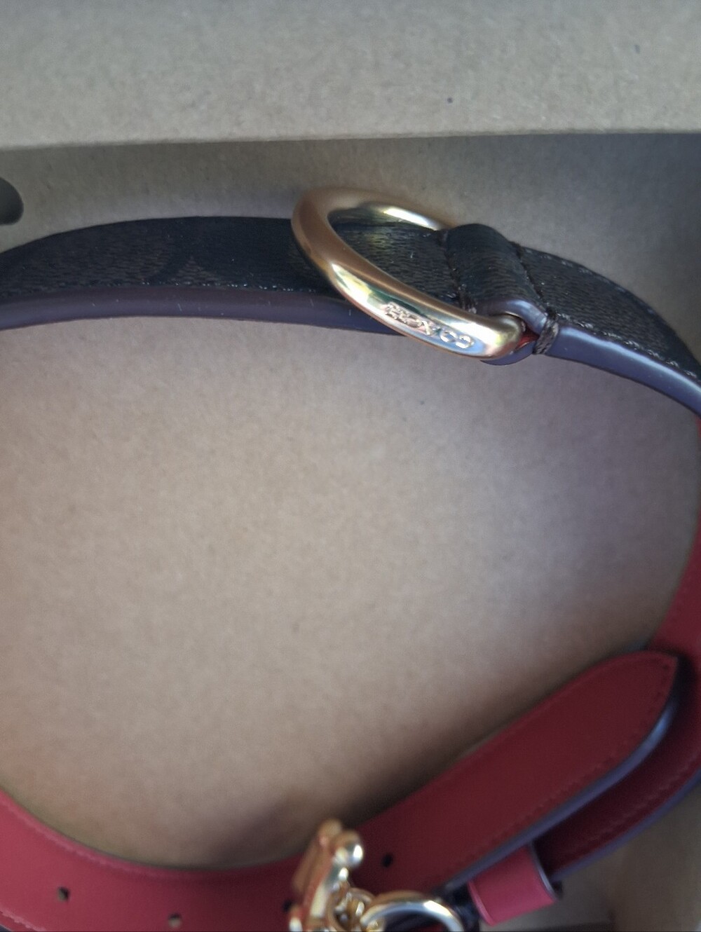 Coach Dog Collar - Picture 8 of 16